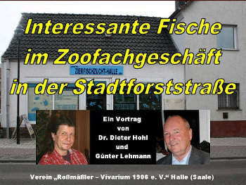 „Interessante Fische im Zoofachgeschäft in der Stadtforststraße“ (Gemeinschaftsvortrag mit Günter Lehmann – Halle)
