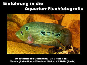Einführung in die Aquarien-Fischfotografie